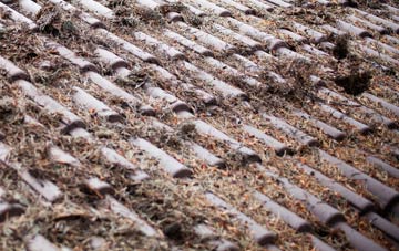 Wolverton roof cleaning companies