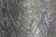 Wolverton fibreglass roof work